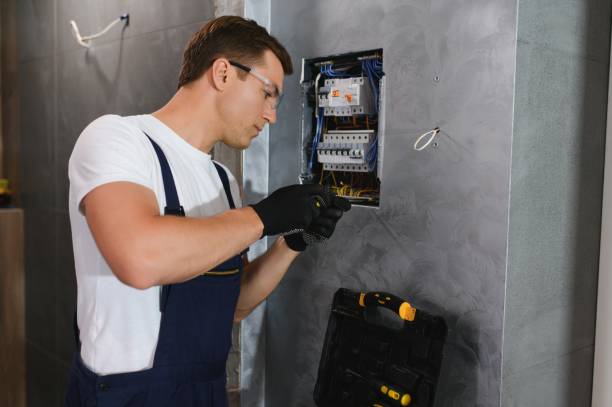 Best Local Electrician Companies  in Park Rapids, MN
